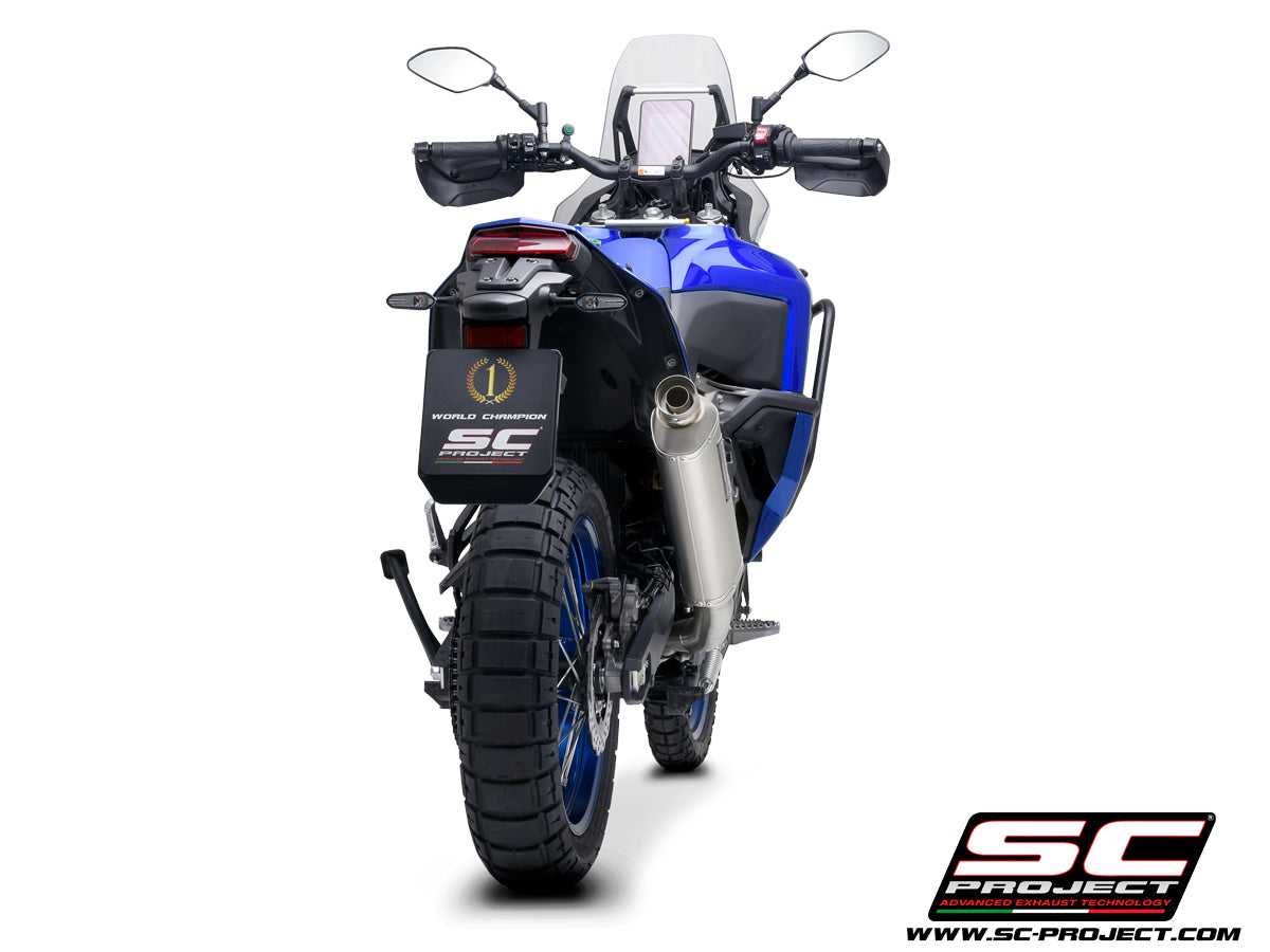 Picture of Rally Raid titanium exhaust
