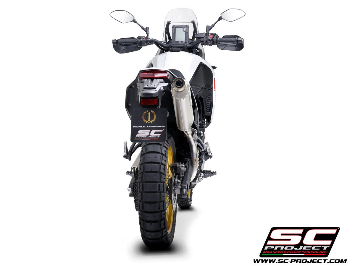 Picture of Rally Raid titanium exhaust, high mount