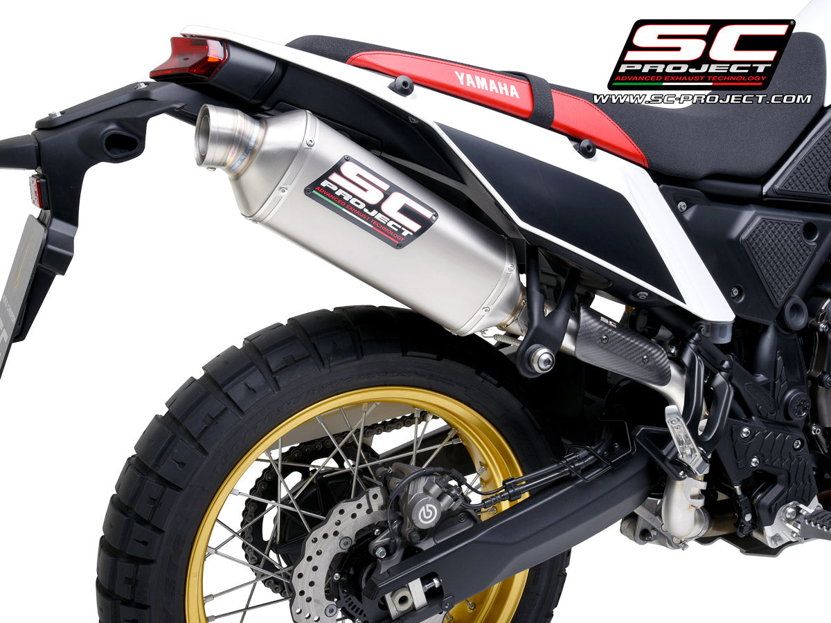 Picture of Rally Raid titanium exhaust, high mount