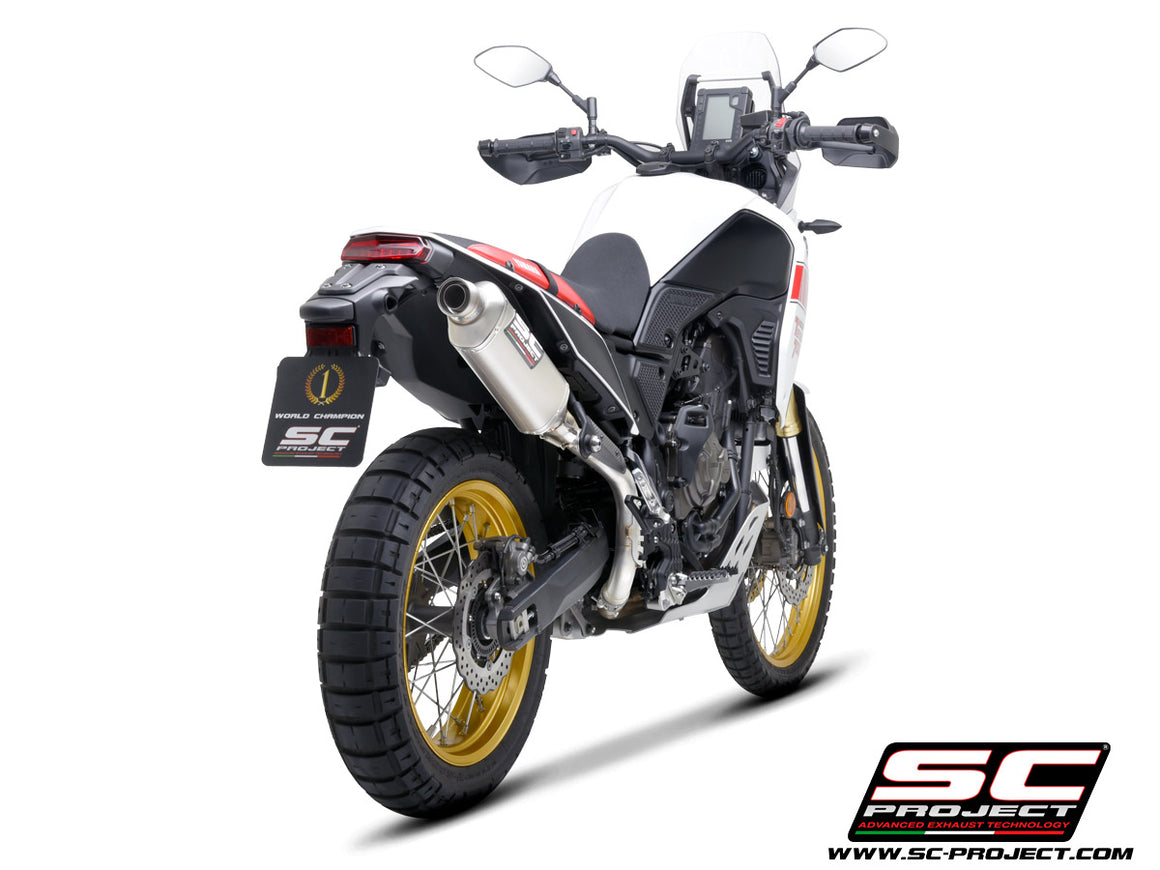 Picture of Rally Raid titanium exhaust, high mount