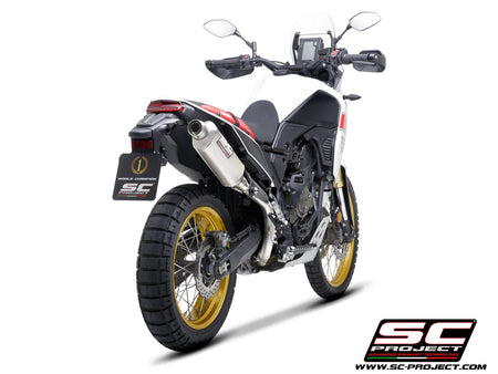 Picture of Rally Raid titanium exhaust, high mount