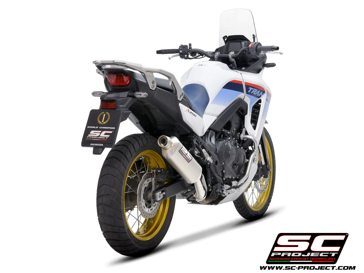 Picture of Rally Raid titanium exhaust