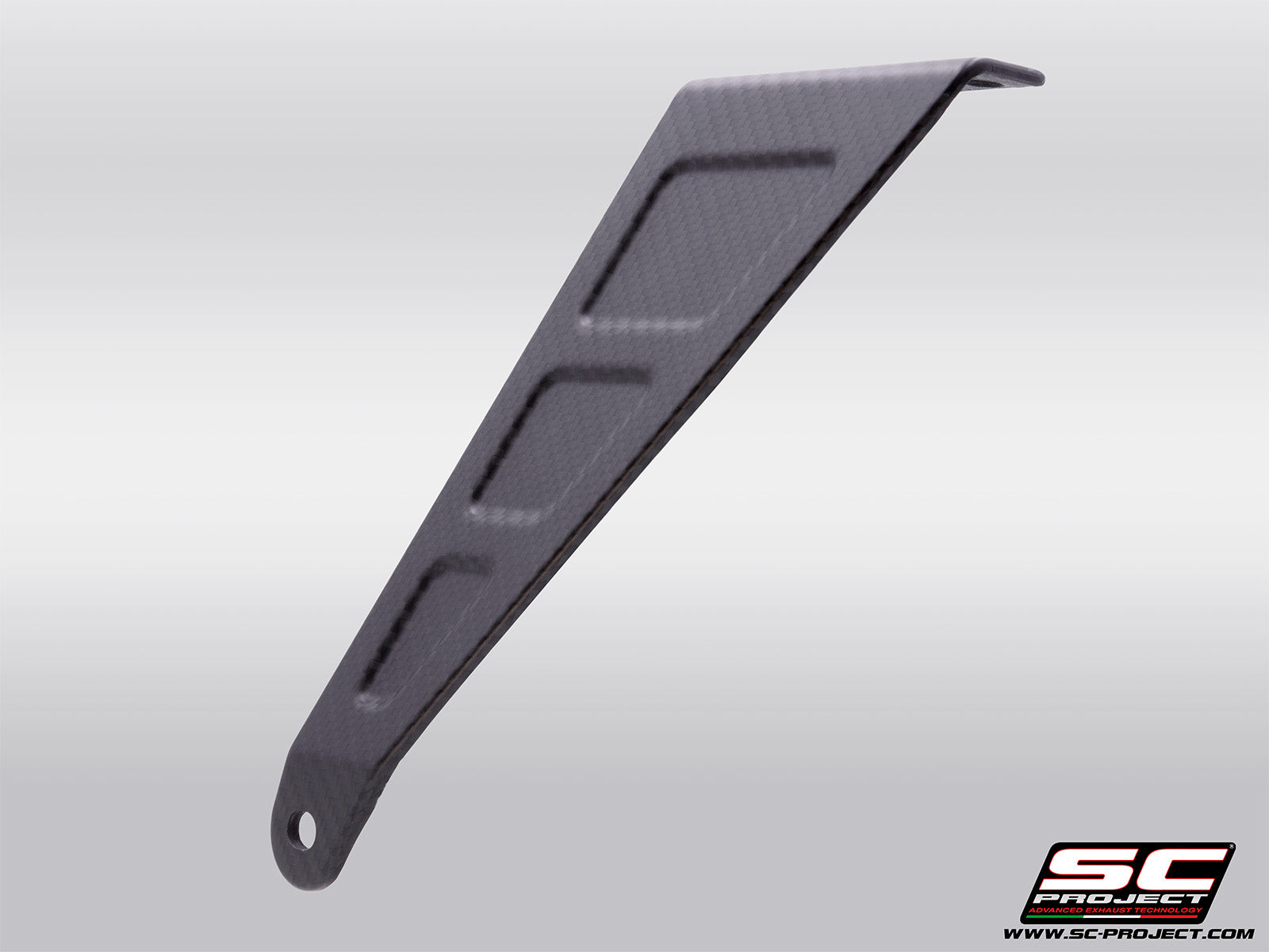 Carbon fibre bracket for Aprilia Tuono 660 side