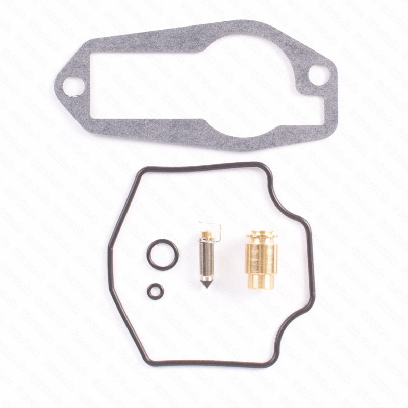 TOURM REPAIRKIT CARBURETOR TOURMAX Carburateur revisie set