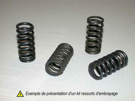 TOURM SPRINGS CLUTCH KIT KOPPELINGSVEREN ZX9R '94-97