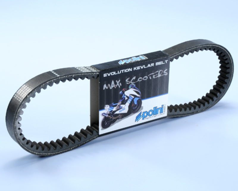Polini Kevlar Versterkte V-snaar - 248.076