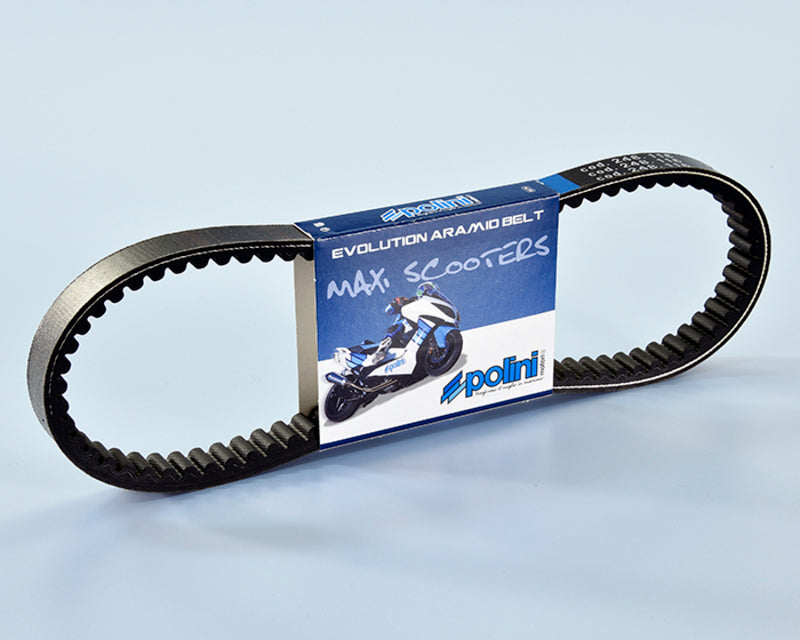 Polini Kevlar Versterkte V-snaar - 248.091