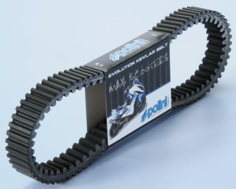 Polini Kevlar Versterkte V-snaar - 248.107