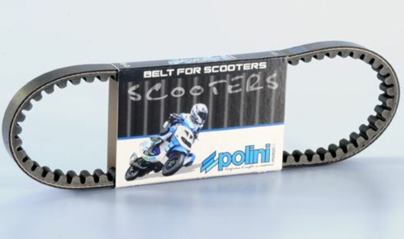 Polini Standard V-snaar - 248.003.F