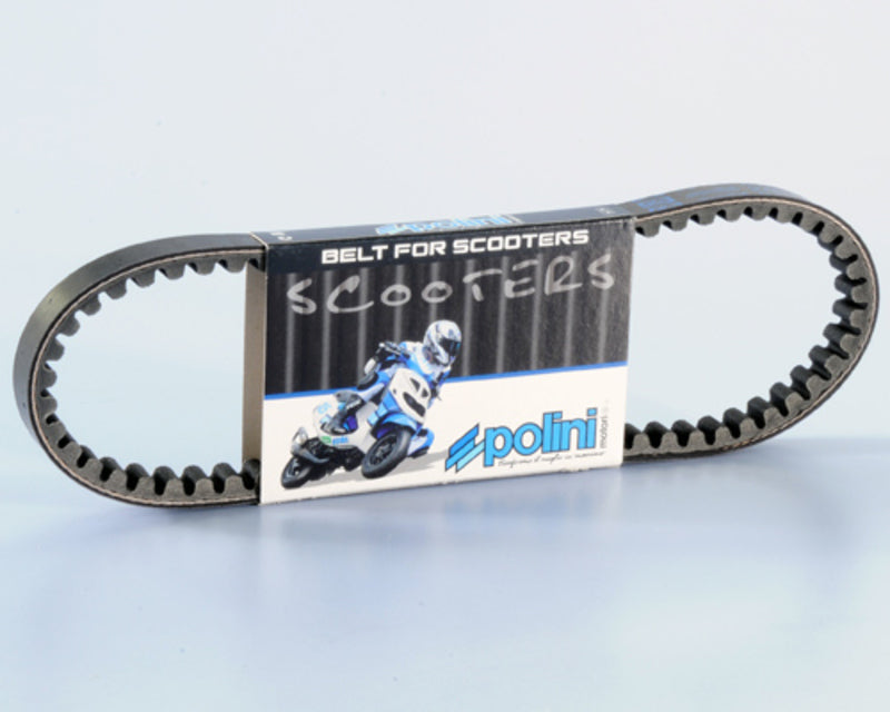 Polini Standard V-snaar - 248.122