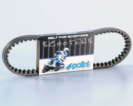 Polini Standard V-snaar - 248.122