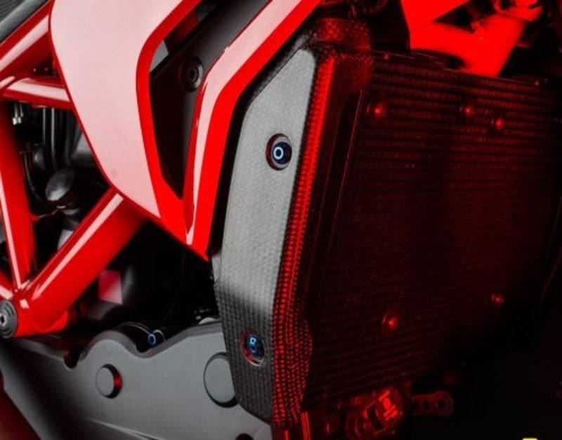 LIGHTECH Radiator guard Carbon