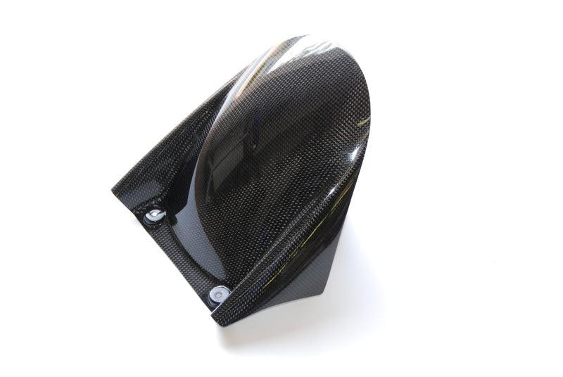 LighTech Rear Mudguard Glossy Carbon