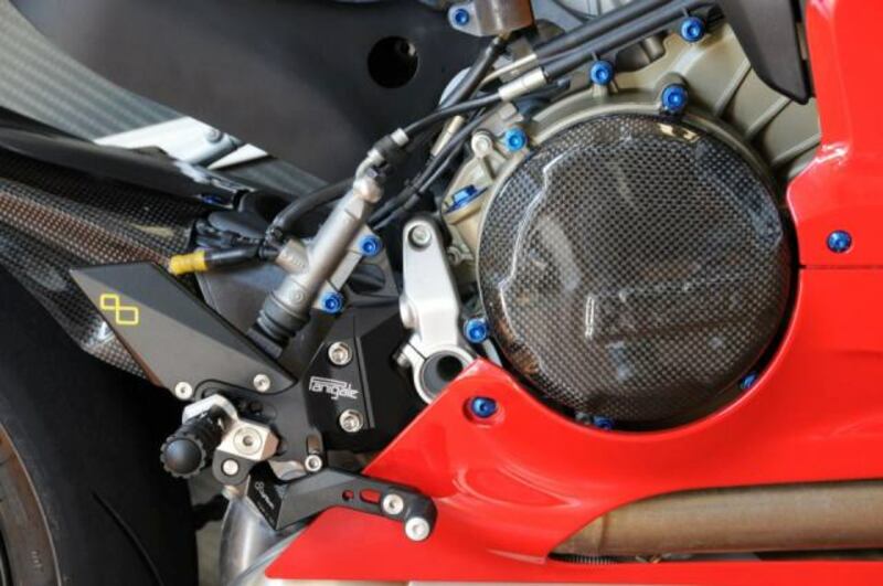 LighTech Alternator Case Cover Glossy Carbon