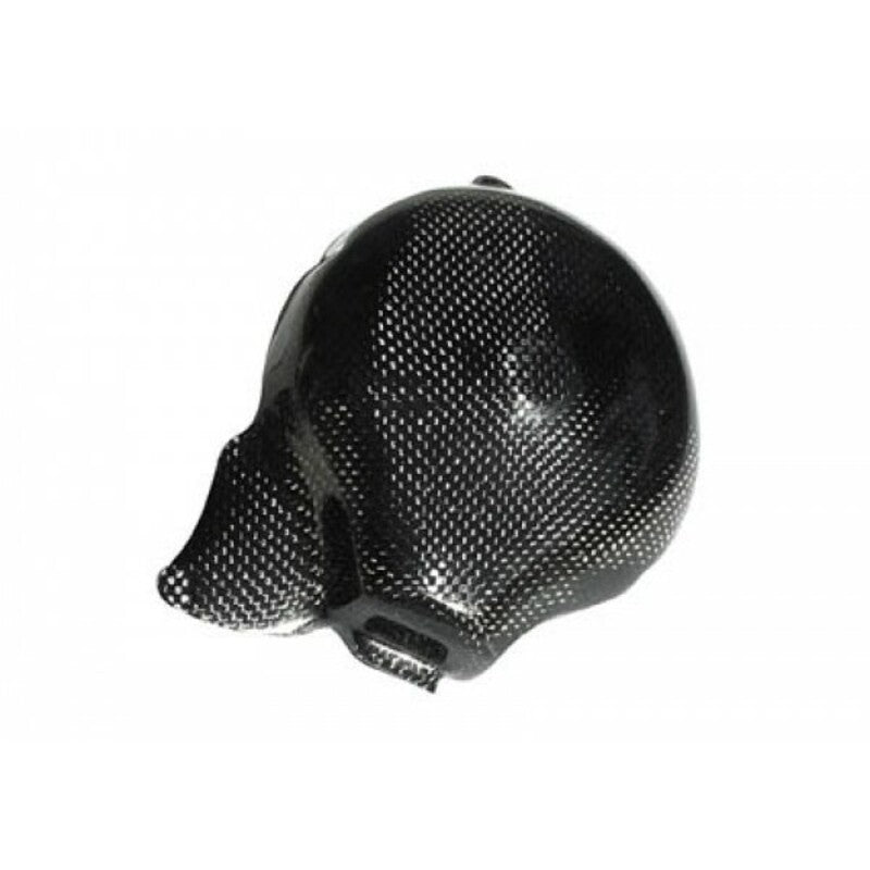 LighTech Alternator Case Cover Glossy Carbon