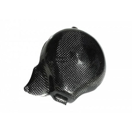 LighTech Alternator Case Cover Glossy Carbon