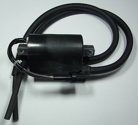 TOURM IGNITION COIL 313 TOURMAX Bobine Suzuki DL650 V-Strom