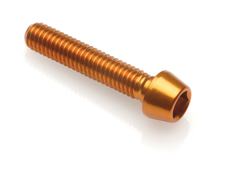 LIGHTECH M6 x 25 Conical BTR Screw Ergal Gold