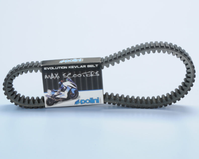 Polini V-snaar - 248.132