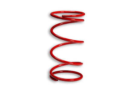 Malossi Variator adjuster spring Red k 6,8