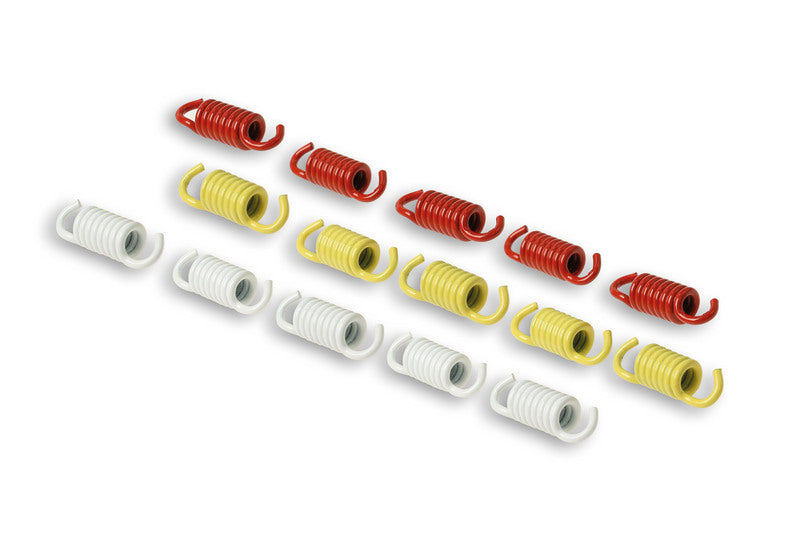 Malossi Racing Spring Set for OEM, Fly and Delta Clutches - 9 pieces - Suzuki AN 400 BURGMAN 2005-2023 / Honda FJS 600 SILVER WING 2001-2015