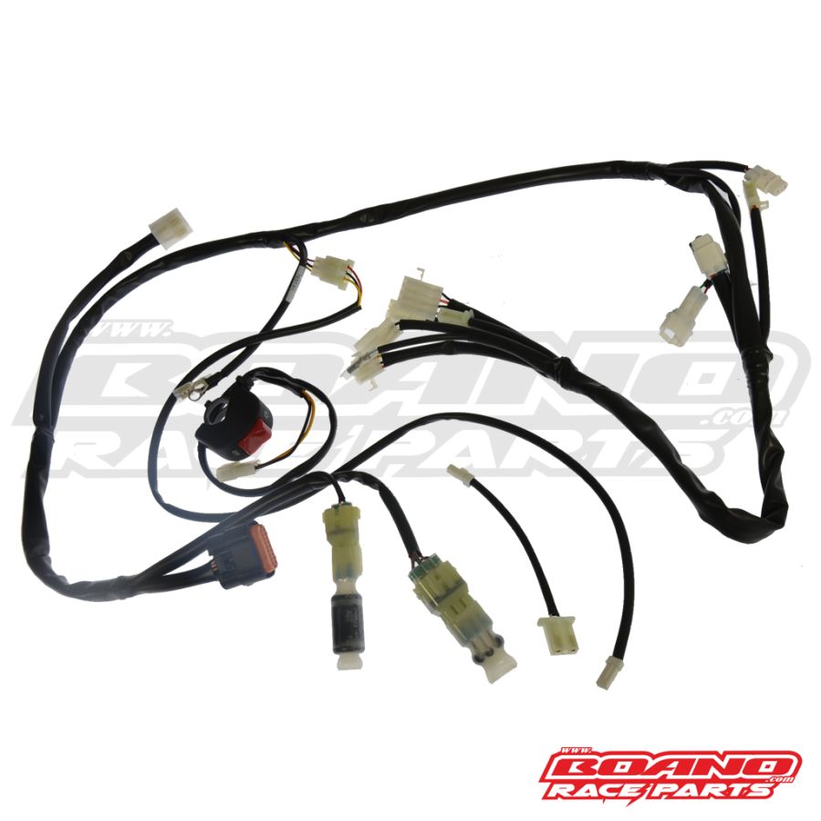 BOANO race kabelboom - Beta RR/X-Pro 2T (2020-2026)