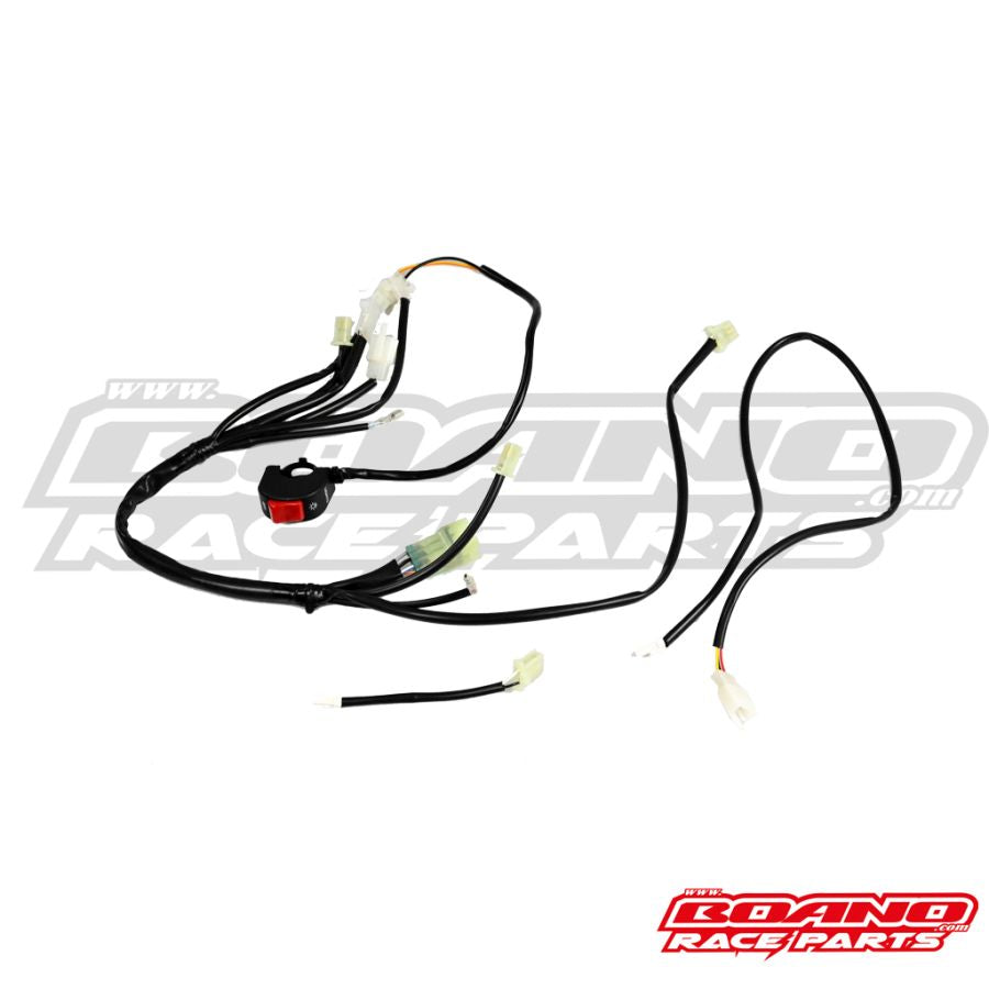 BOANO race kabelboom - Beta RR 4T (2020-2026)