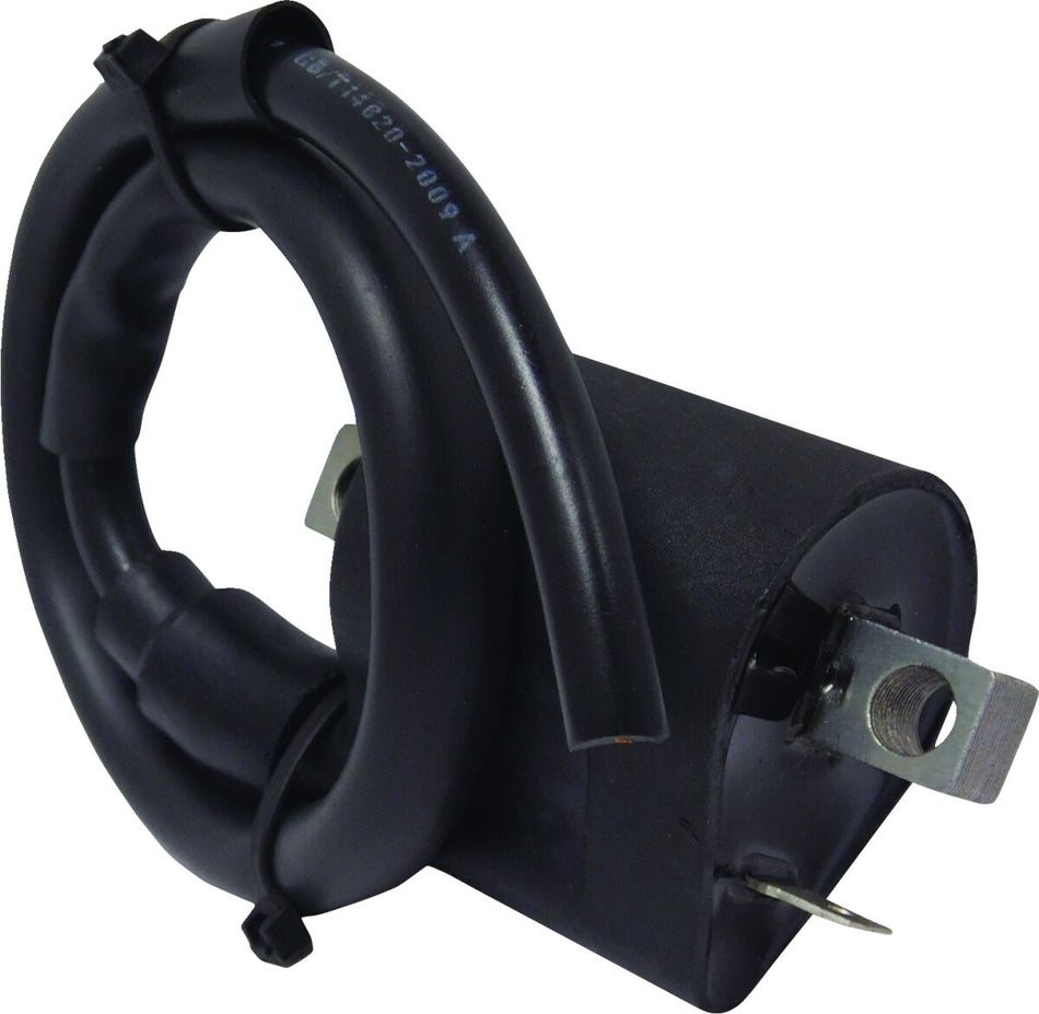 Parts Europe Bobine YAMAHA