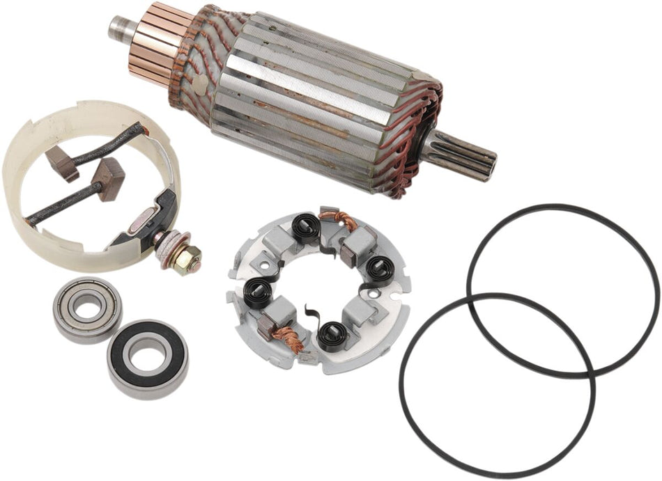 Rick's Motorsport Starter Motor Rebuild Kit