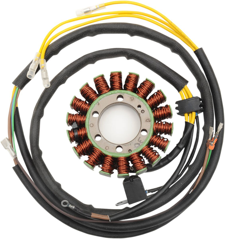 Rick's Motorsport Stator for Polaris