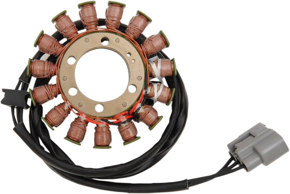 Rick's Motorsport Stator Ducati