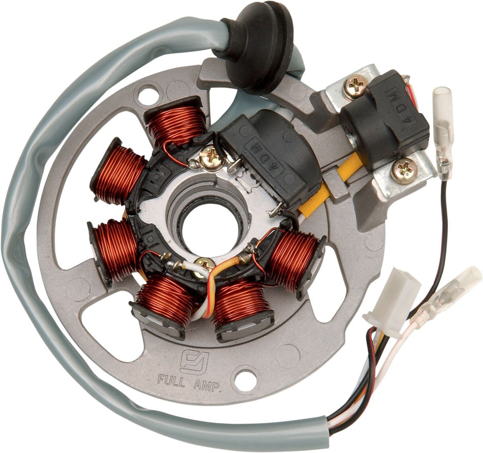 Rick's Motorsport Stator Polaris voor Eton