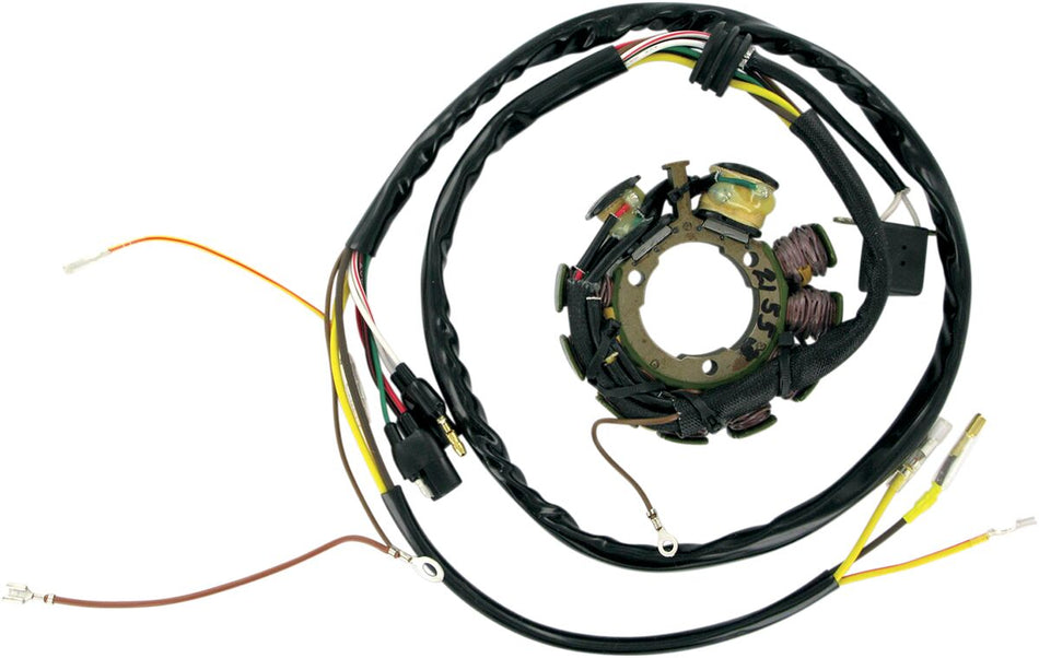 Rick's Motorsport Stator Polaris