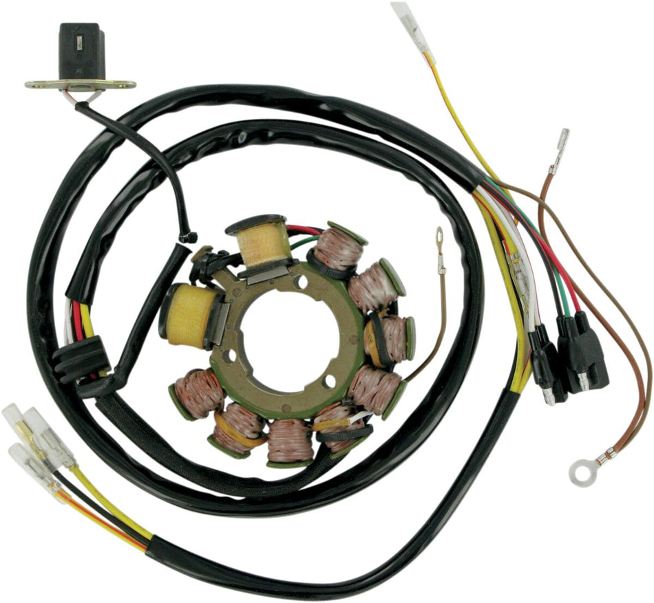 Rick's Motorsport Stator Pol Exped 2000 voor Polaris