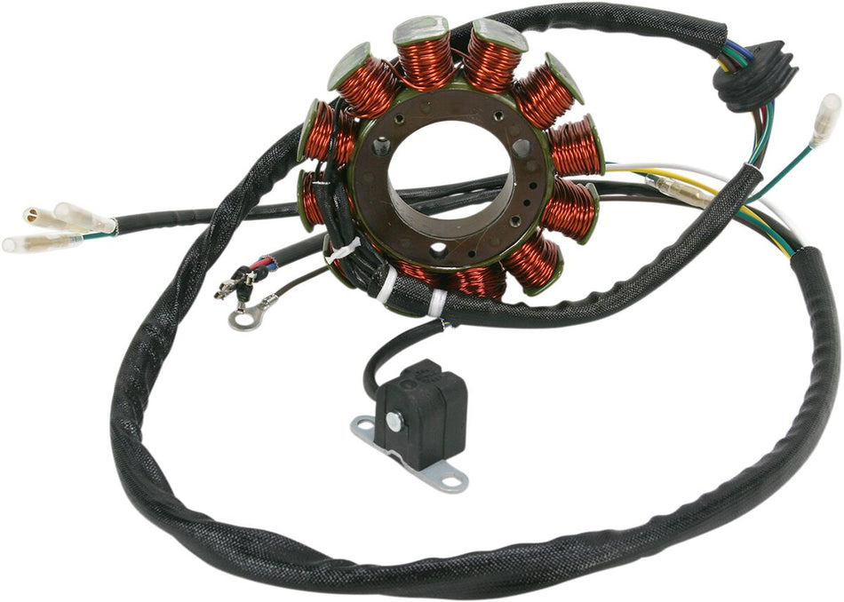 Rick's Motorsport Stator Polaris