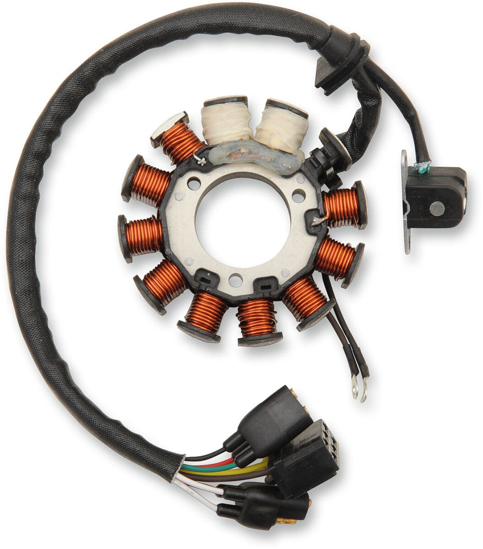 Rick's Motorsport Stator Polaris voor Lynx (Brp)