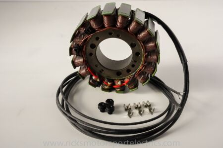 Rick's Motorsport OE Style Stator Tgb