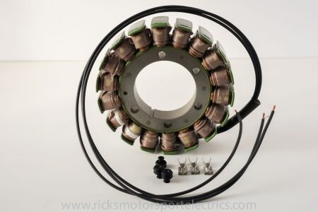 Rick's Motorsport OE Style Stator Tgb