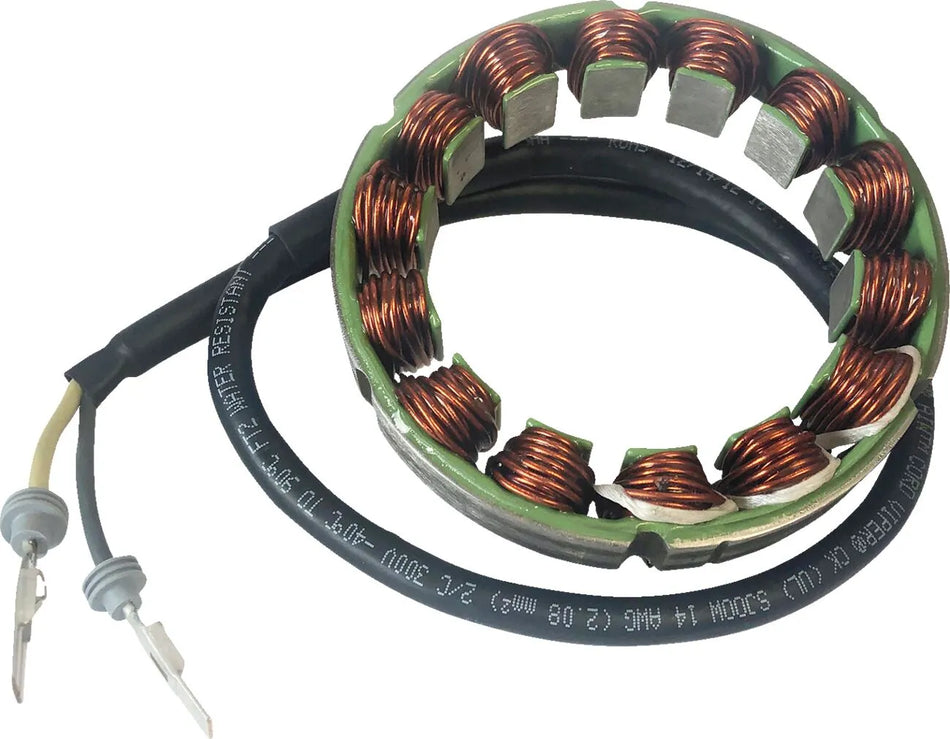 Rick's Motorsport Stator Ducati