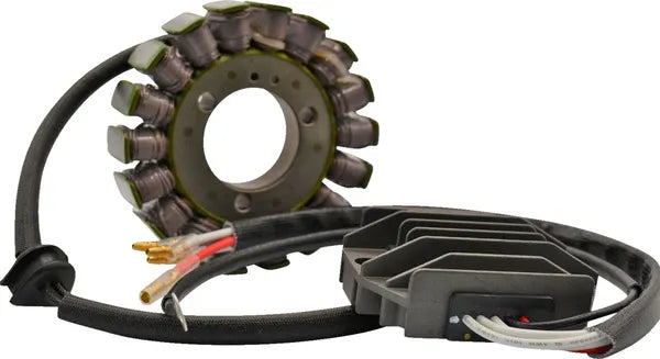 Rick's Motorsport Lithium-Ion Charging Kit