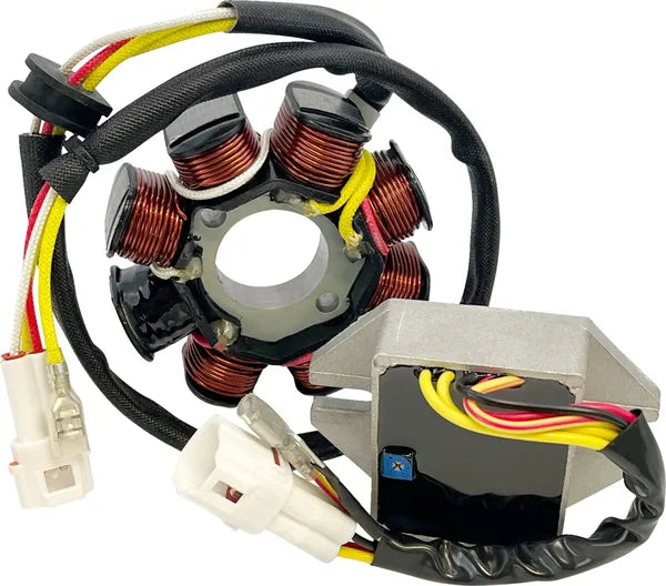 Rick's Motorsport Lithium-Ion Compatible Charging Kit