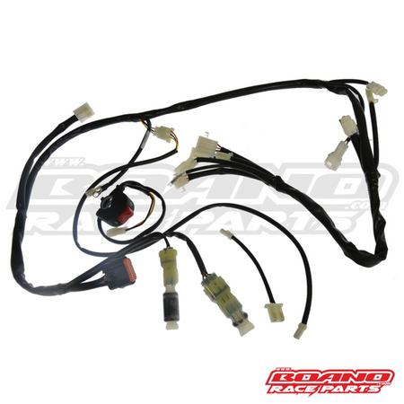 BOANO race kabelboom, dubbele bougie - Beta RR 300 2T (2024-2026)