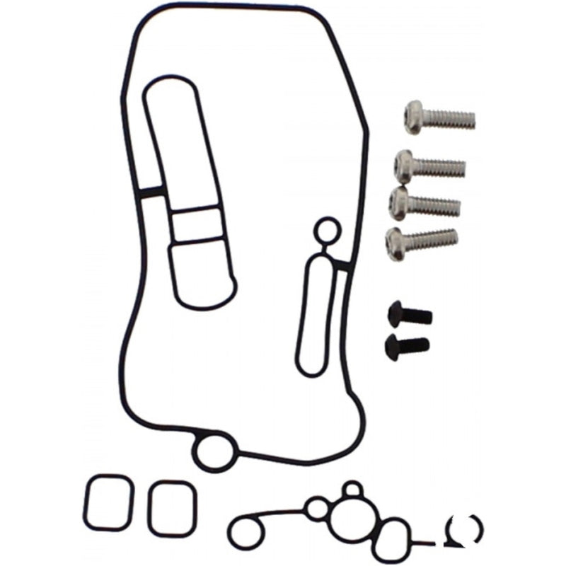 TOURM SPAREPARTS O-RING TOURMAX Carburateur pakking set + schroeven Kawasaki KX-F250 /450