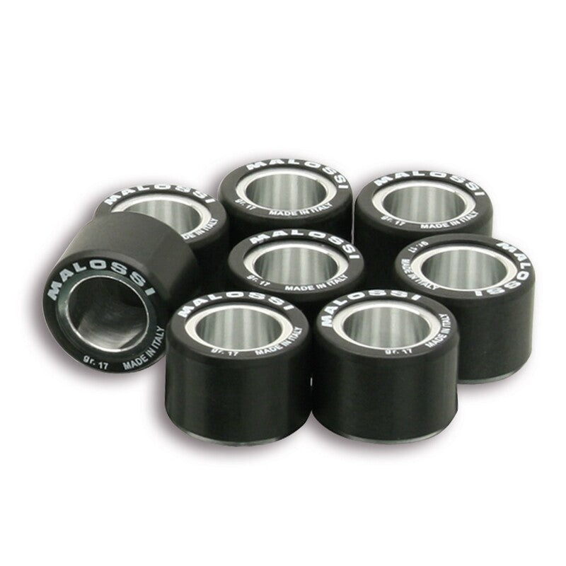 Malossi Variorollenset 25x19mm 19gr - 8 stuks