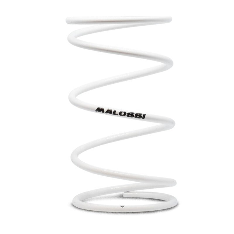 Malossi Super Versterkte Drukveer Yamaha X-Max/Majesty 400