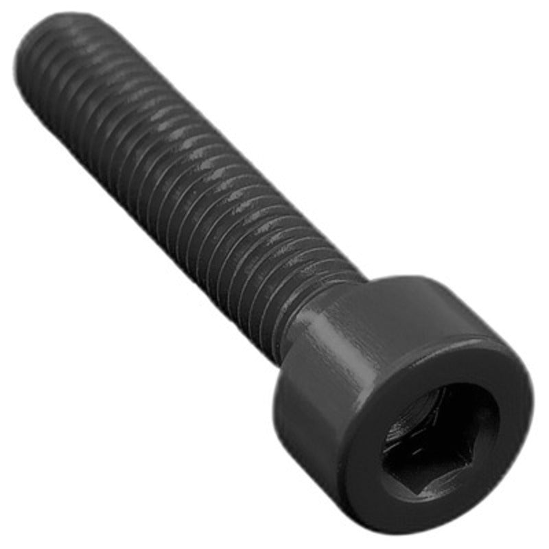 LIGHTECH M5 x 25 CIlindrical BTR Screw Ergal Black
