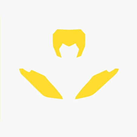 BLACKBIRD Plate Stickers Yellow Fantic XX