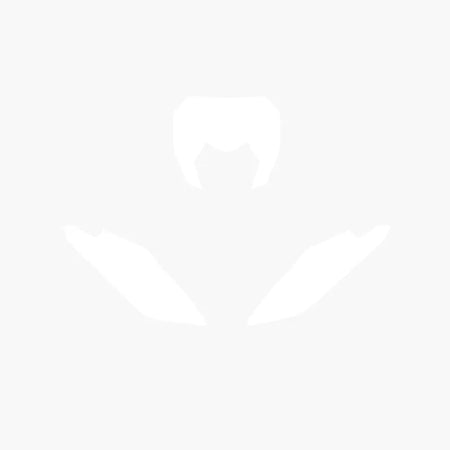 BLACKBIRD Plate Stickers White Fantic XX