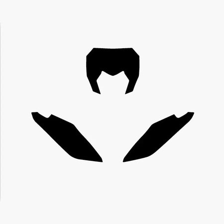 BLACKBIRD Plate Stickers Black Fantic XX