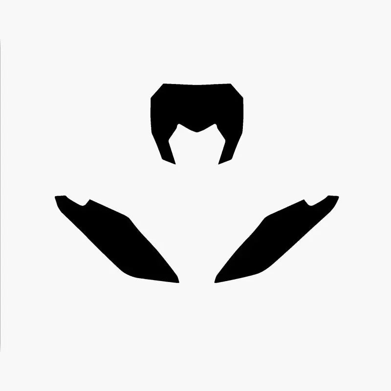 BLACKBIRD Plate Stickers Black Fantic XX